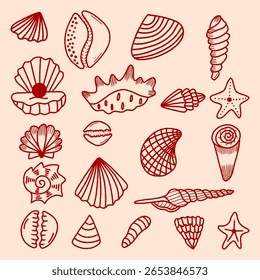 Ilustración vectorial dibujada a mano de conchas marinas y estrellas de mar, colección de concha de mar, kit marino de viaje de verano. Conjunto de concha de mar submarina, contorno de Doodle, dibujo de línea