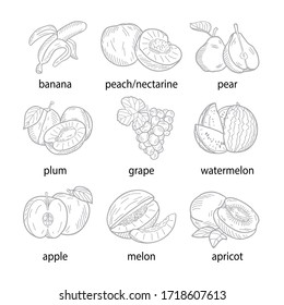 Hand-drawn vector illustration of a set of fruits.