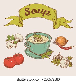 hand-drawn vector illustration. set ingredients of soup