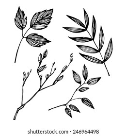 Hand-drawn vector illustration - set of leaves. Ink and feather