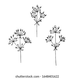 Hand-drawn vector illustration. Set of simple wild grass, twigs. Sketch, black lines on a white background. For modern decor.