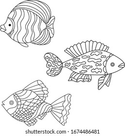 Hand-drawn vector illustration. Set of three fish with ornaments, coloring for children. Sketch, Doodle, black lines on a white background.