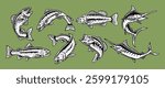 Hand-drawn vector illustration set of various fish species, including trout, bass, and marlin. Ideal for fishing logos, outdoor designs, t shirts, and other uses.