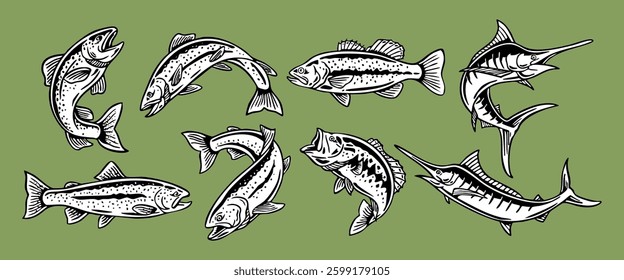 Hand-drawn vector illustration set of various fish species, including trout, bass, and marlin. Ideal for fishing logos, outdoor designs, t shirts, and other uses.