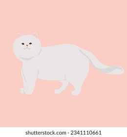 Hand-drawn vector illustration of a super cute white cat standing pop-style design.