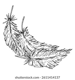 Hand-drawn vector illustration of two curved feathers in a graceful composition. Ideal for boho wedding designs, tribal decorations, branding, native-inspired crafts, and natural textile patterns.