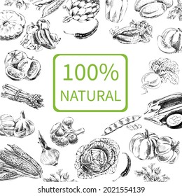 Hand-drawn vector illustration with vegetables. A sketch in a vintage style.  Design template.
