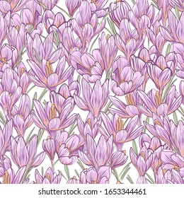 Imagen vectorial hecha a mano de flores de croco. Las flores primaverales son una galleta.
 Patrón sin problemas.