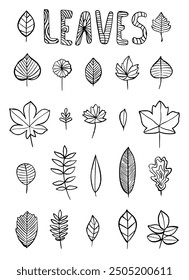 Handdrawn vector image of various leaf designs in black and white. The collection includes different shapes and sizes, perfect for nature-themed illustrations, coloring pages, or botanical designs.