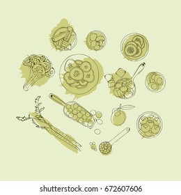 Hand-drawn vector ingredients for cooking 