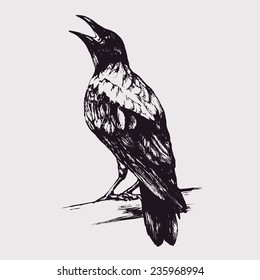 Hand-drawn vector ink black crow silhouette isolated