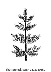 Pine Trees Drawing Images Stock Photos Vectors Shutterstock