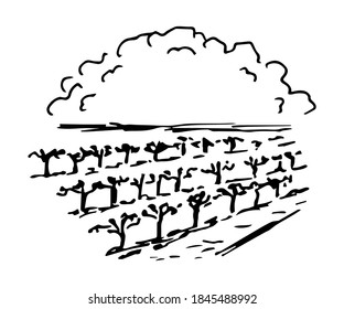 9,087 Vineyard outline Images, Stock Photos & Vectors | Shutterstock