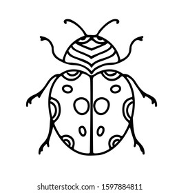 Hand-drawn vector Ladybug. Ladybug Drawn Black Outline Thin Line on White Background. Coloring pages.