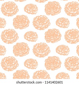 Hand-drawn vector marigold illustration. Isolated on white.