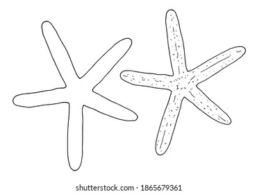 Handgezeichnete Vektorgrafik eines schwarzen Sternchens. Illustration von Doodles des Meeresweges. Dekorative schwarze Linie der Seesterne. Dekoratives Sternenelement einzeln auf weißem Hintergrund für Design