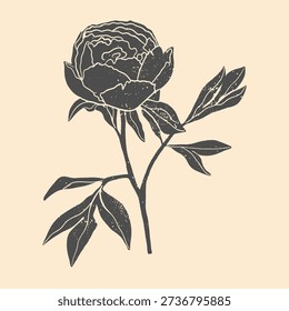 Hand-drawn vector peony flower clipart  in block print style. Simple monochrome linocut illustration.	