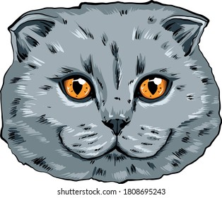 hand-drawn vector portrait of a cat. colorful portrait of a cat muzzle. cat portrait beautiful eyes minimalistic graphic illustration. feline fluffy portrait of a thoroughbred pet. British cat breed 