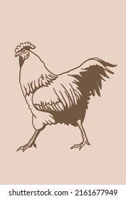 Hand-drawn vector rooster , sepia background, domestic animal, grahical vintage element