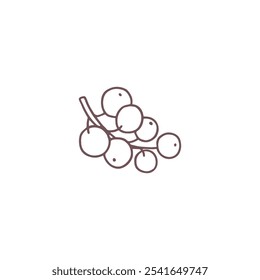 Hand-drawn vector round berries on a twig in the style of a contour sketch. Organic and tropical ingredients for culinary use or seasonal decoration.