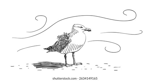 Hand-drawn vector of a seagull in profile, wings folded, feathers subtly ruffled by wind. Black contour lines with hatching for shadows, stylized swirling wind lines in the background