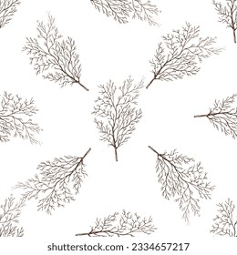 Hand-drawn vector seamless pattern of dill. Vintage doodle illustration. Sketch for cafe menus and labels. The engraved image.