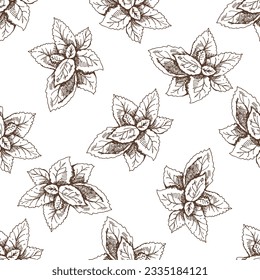 Hand-drawn vector seamless pattern of mint leaves. Vintage doodle illustration. Sketch for cafe menus and labels. The engraved image.