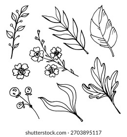 Hand-drawn vector set of botanical line art elements: leaves, branches and flowers. Perfect for coloring pages, floral design, logos, invitations, patterns, crafts and creative projects.