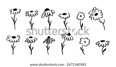 Handdrawn vector set of chamomile and chrysanthemum flowers with small petals and grass, drawn in crayon, wax, and chalk on paper. Cheerful flora aesthetic symbol, perfect for logo or kindergarten art