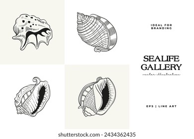 Hand-drawn vector set featuring realistic sketches of various marine seashells and starfish in black and white. Ideal for underwater-themed designs.