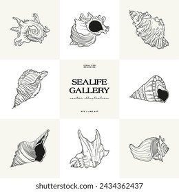 Hand-drawn vector set featuring realistic sketches of various marine seashells and starfish in black and white. Ideal for underwater-themed designs.