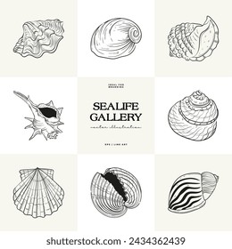 Hand-drawn vector set featuring realistic sketches of various marine seashells and starfish in black and white. Ideal for underwater-themed designs.