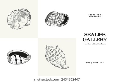 Hand-drawn vector set featuring realistic sketches of various marine seashells and starfish in black and white. Ideal for underwater-themed designs.