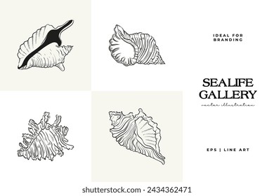 Hand-drawn vector set featuring realistic sketches of various marine seashells and starfish in black and white. Ideal for underwater-themed designs.