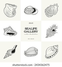Hand-drawn vector set featuring realistic sketches of various marine seashells and starfish in black and white. Ideal for underwater-themed designs.