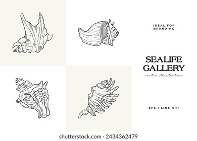 Hand-drawn vector set featuring realistic sketches of various marine seashells and starfish in black and white. Ideal for underwater-themed designs.