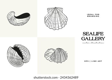 Hand-drawn vector set featuring realistic sketches of various marine seashells and starfish in black and white. Ideal for underwater-themed designs.