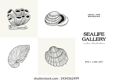 Hand-drawn vector set featuring realistic sketches of various marine seashells and starfish in black and white. Ideal for underwater-themed designs.