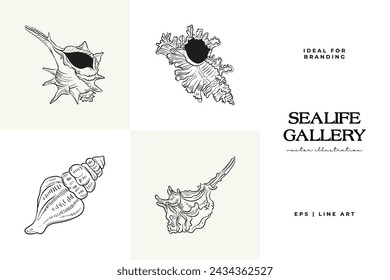 Hand-drawn vector set featuring realistic sketches of various marine seashells and starfish in black and white. Ideal for underwater-themed designs.