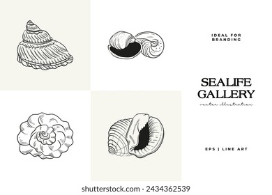 Hand-drawn vector set featuring realistic sketches of various marine seashells and starfish in black and white. Ideal for underwater-themed designs.