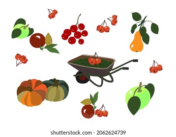 Juego de vectores dibujado a mano de carrito de jardín, rowan, viburnum, calabaza, manzanas, peras. Cosecha otoñal. Ilustración en color de frutas, verduras y bayas sobre un fondo blanco.