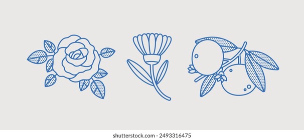 Hand-drawn vector set. Line art, retro. Plants and herbs for cosmetics. Rose, calendula, mandarin.