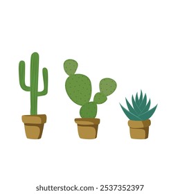 Hand-drawn vector set of succulent flowers.