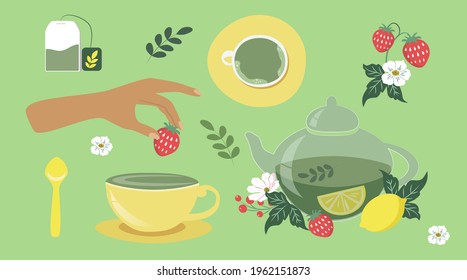 Hand-drawn vector set of tea ceremony elements: tea bag, pot, cup and variety of berry branches. Hand holding strawberry. Matcha tea, herbal tea. Trendy iilustration in flat syle