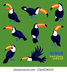 Handgezeichneter Vektorsatz von Toucans in einem flachen Stil. Berührt Vögel in verschiedenen Posen.