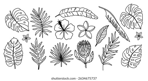 Hand-drawn vector set of tropical leaves and exotic flowers in outline style. Ideal for branding, packaging, textile design, coloring pages, botanical projects, and summer-themed illustrations.