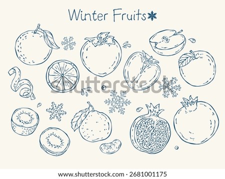 Hand-drawn vector set of winter fruits including orange, mandarin, persimmon, apple, pomegranate and kiwi. Minimal line doodle style for seasonal menu, packaging, food design and illustrations