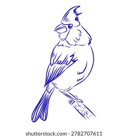 Hand-drawn vector sketch of a bird, blue line art on a white background