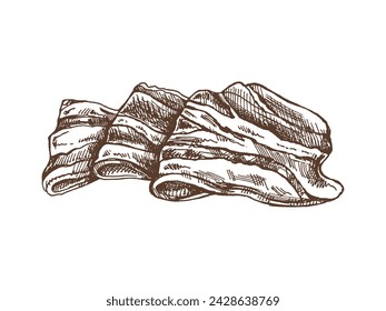 Hand-drawn vector sketch of hamon or pork meat, ham slice. Italian prosciutto vintage sketch. Butcher shop. Great for label, restaurant menu. Engraved image. 