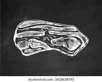 Hand-drawn vector sketch of hamon or pork meat, ham slice on chalkboard background. Italian prosciutto vintage sketch. Great for label, restaurant menu. Engraved image. 